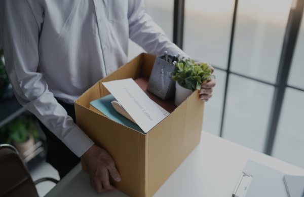 IMAGEM SITE ZINCBORTOLOZI INSTAGRAM IMAGEM SITE ZINCBORTOLOZI INSTAGRAM